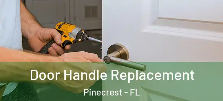  Door Handle Replacement Pinecrest - FL