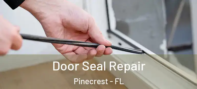  Door Seal Repair Pinecrest - FL
