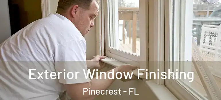  Exterior Window Finishing Pinecrest - FL
