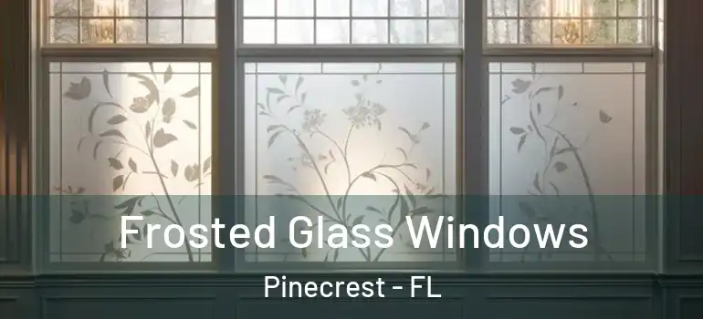  Frosted Glass Windows Pinecrest - FL