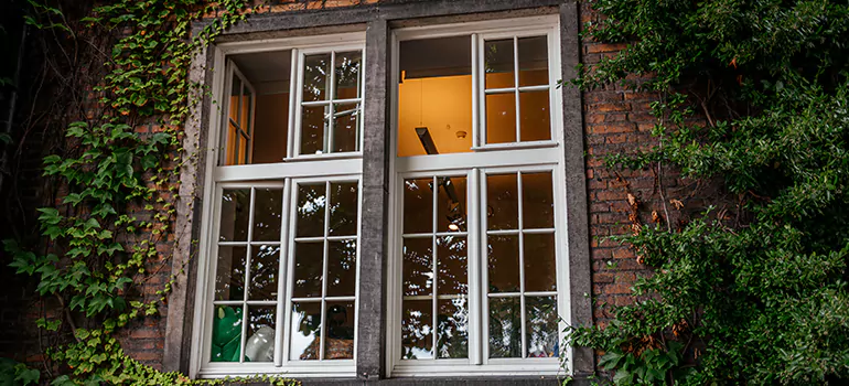 Energy Efficient Wood Windows in Pinecrest, FL