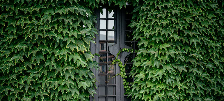 Garden Gate Repair in Pinecrest, FL