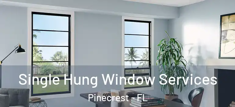  Single Hung Window Services Pinecrest - FL