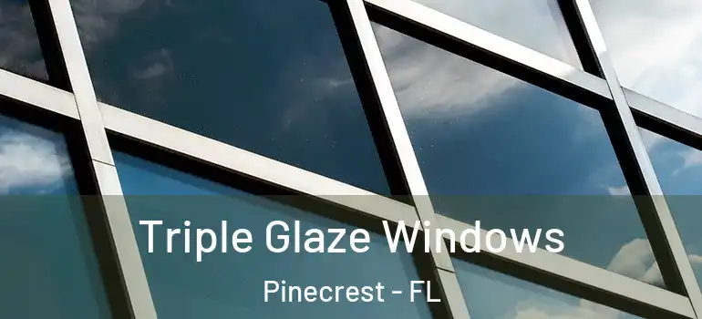  Triple Glaze Windows Pinecrest - FL