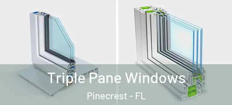  Triple Pane Windows Pinecrest - FL