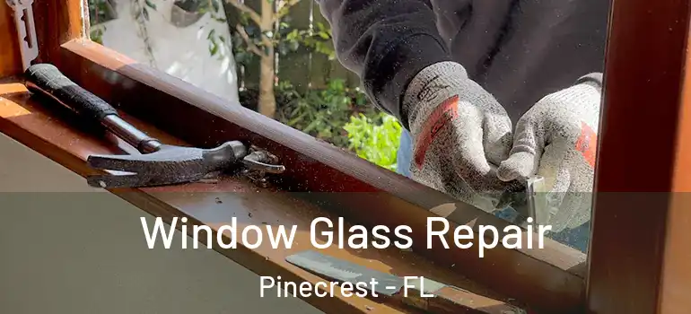 Window Glass Repair Pinecrest - FL