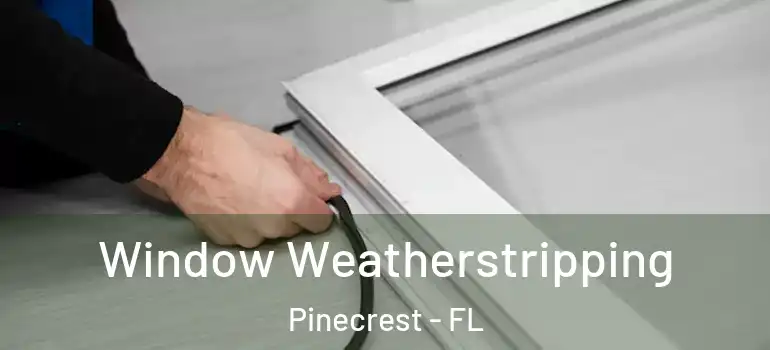  Window Weatherstripping Pinecrest - FL
